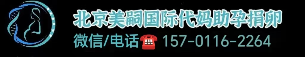同性恋美国试管婴儿